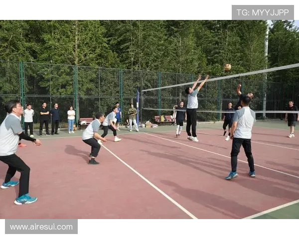 北京排球队在最新排球比赛中表现卓越经验分享TOP10精彩瞬间回顾